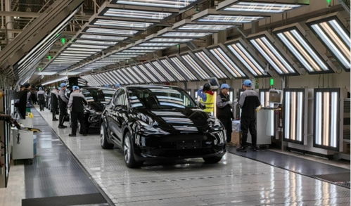 特斯拉否认与京东合作卖车，运动项目经营模式引热议