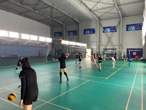 丰台区青少年运动队暑期集训圆满收官，项目经营助力体育人才储备