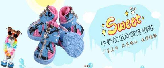 广州市宠阳宠物用品与本公司正式签署网站项目合作，开启运动项目经营新篇章